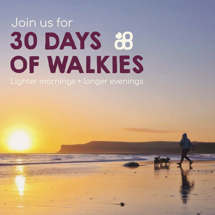 30 DAYS OF WALKIES-image