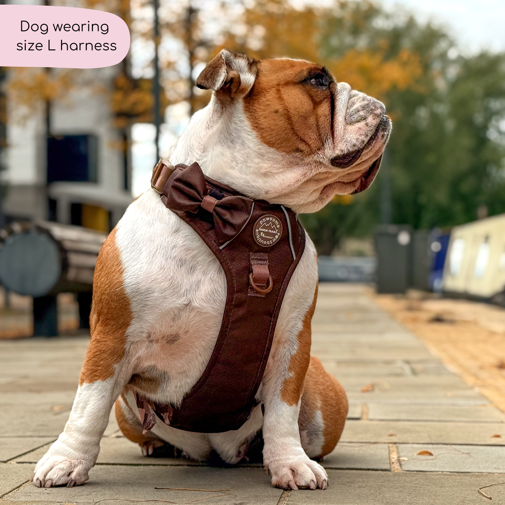 Tough Trails™ Harness - Walkies Ready® Chocolate Brown