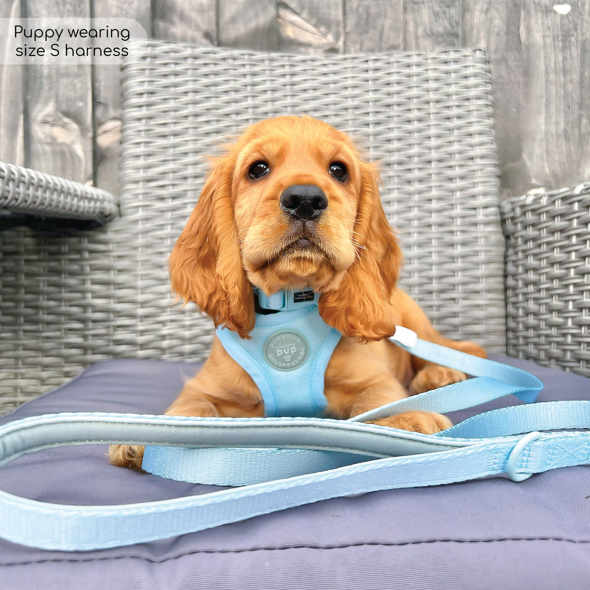 Pawsome Pup Harness Mint Pawsome Paws Boutique