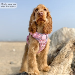 Disney© Tough Trails™ Harness - Nala