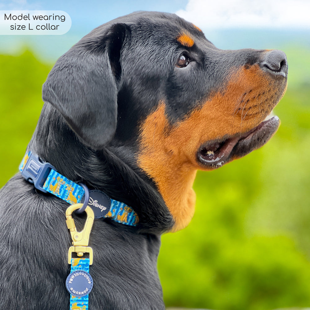 Disney© Collar - Simba