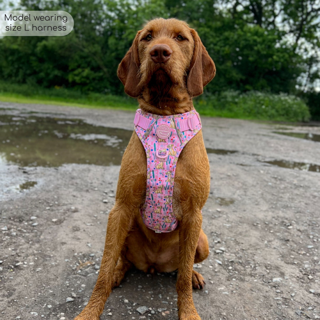Disney© Tough Trails™ Harness - Nala