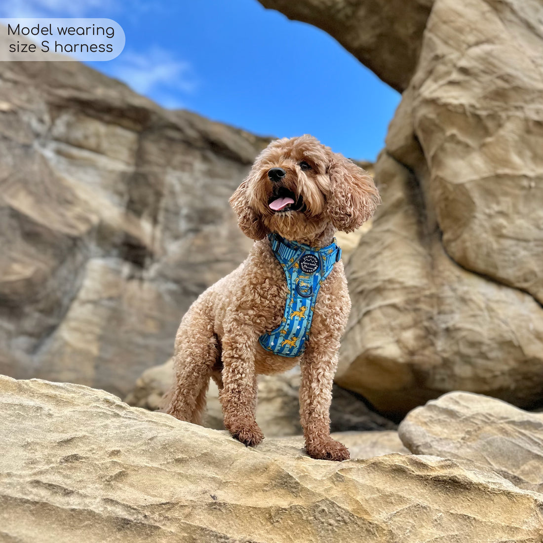 Disney© Tough Trails™ Harness - Simba