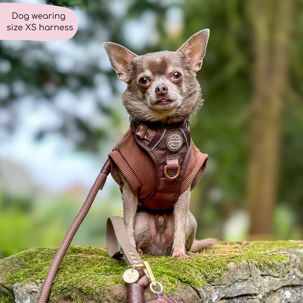 Tough Trails™ Harness - Walkies Ready® Chocolate Brown