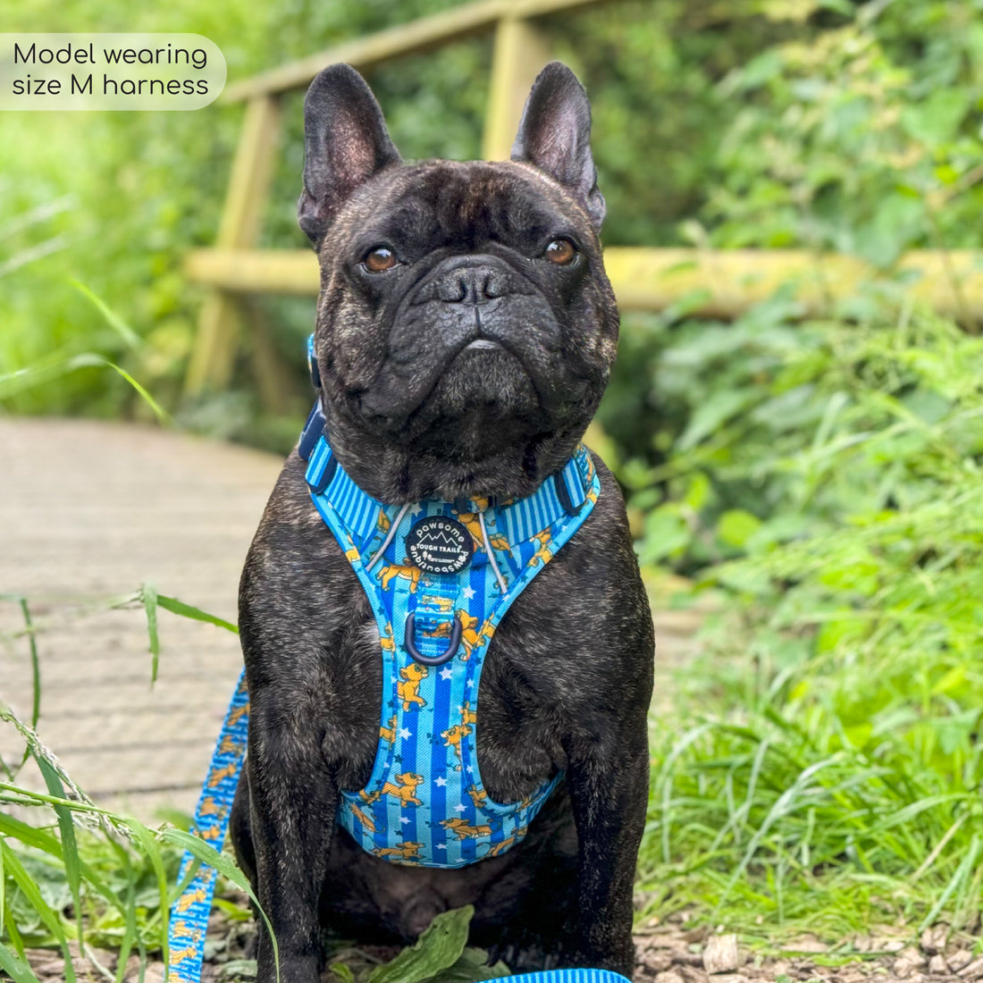 Disney© Tough Trails™ Harness - Simba