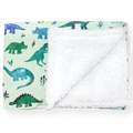 Dog Blanket - Dinky Dino