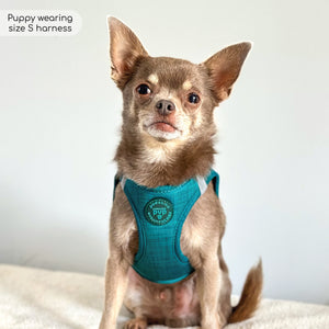 Pawsome Pup Harness - Emerald