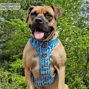 Disney© Tough Trails™ Harness - Simba