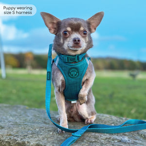 Pawsome Pup Harness - Emerald