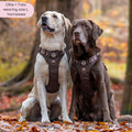 Tough Trails™ Harness - Walkies Ready® Chocolate Brown
