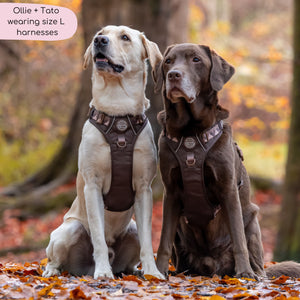 Tough Trails™ Harness - Walkies Ready® Chocolate Brown