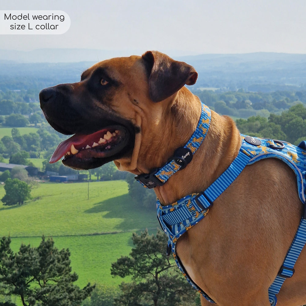 Disney© Collar - Simba