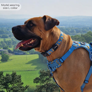 Disney© Collar - Simba