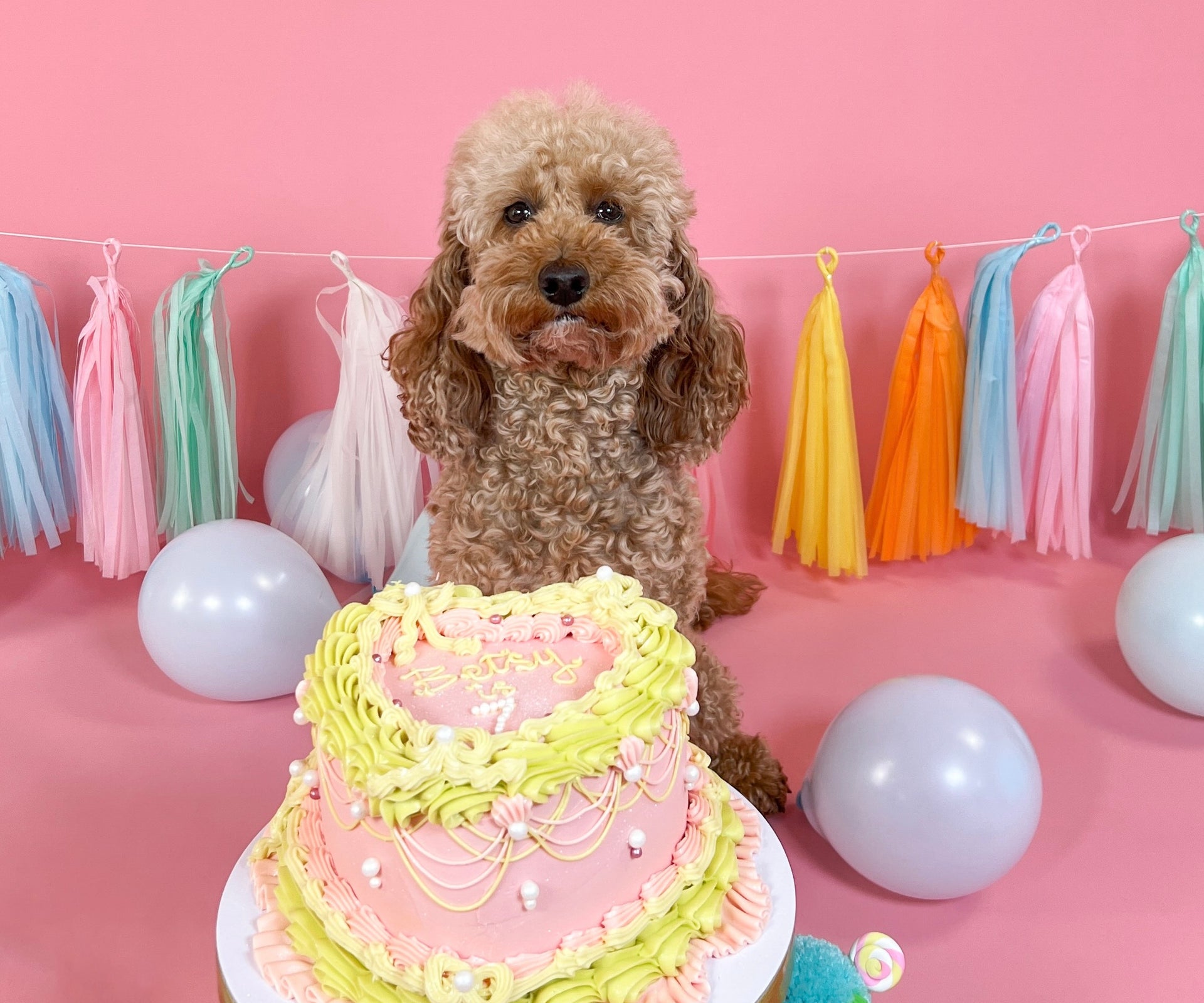 BETSY'S BIRTHDAY SALE-image