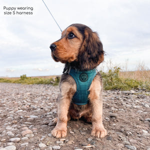 Pawsome Pup Harness - Emerald
