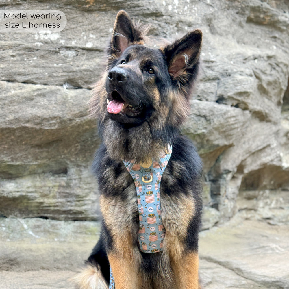 Disney© Tough Trails™ Harness - Lion Friends