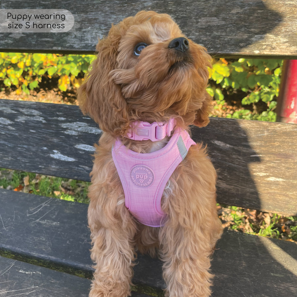 Pawsome Pup Harness - Pink