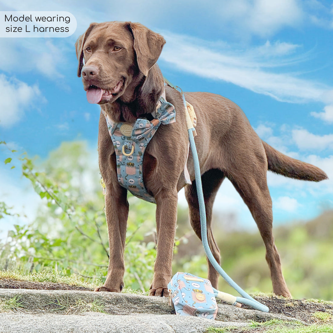 Disney© Tough Trails™ Harness - Lion Friends