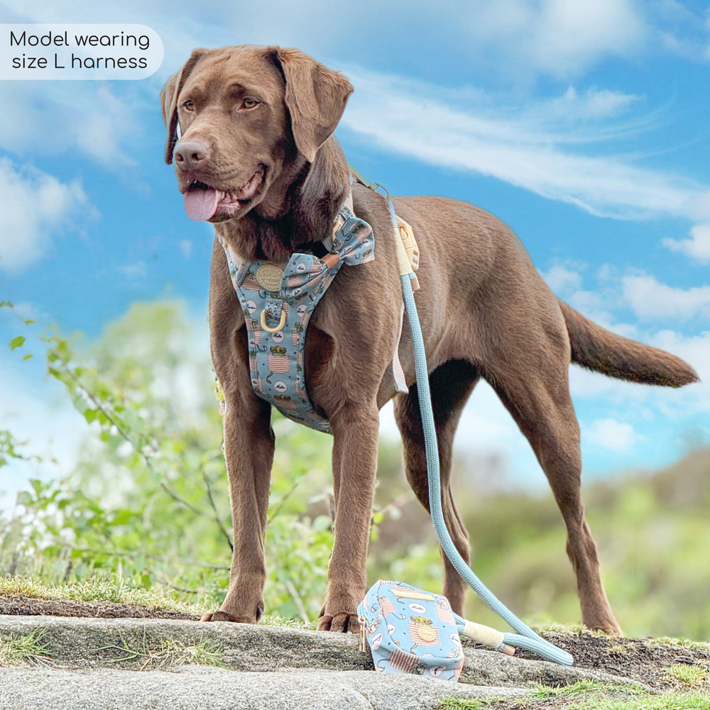 Disney© Tough Trails™ Harness - Lion Friends