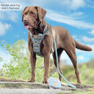 Disney© Tough Trails™ Harness - Lion Friends