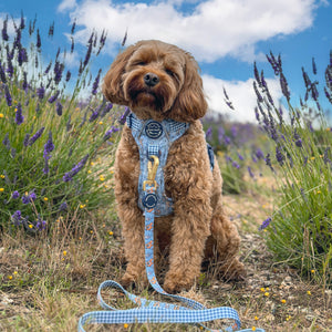 Disney© Lead - Bambi + Friends Blue