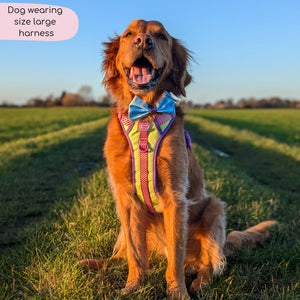 Disney© Tough Trails™ Harness - Buzz Lightyear