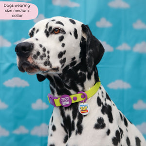 Disney© Waterproof Collar - Buzz Lightyear