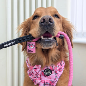 4ft Rope Lead - Mean Girls - Pink and Black
