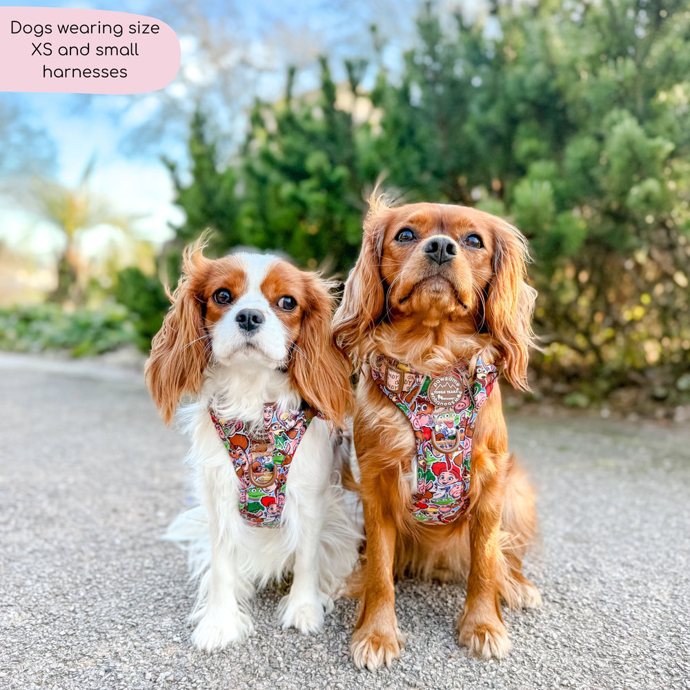 Disney© Tough Trails™ Harness - Toy Story Friends