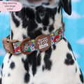 Disney© Collar - Toy Story Friends