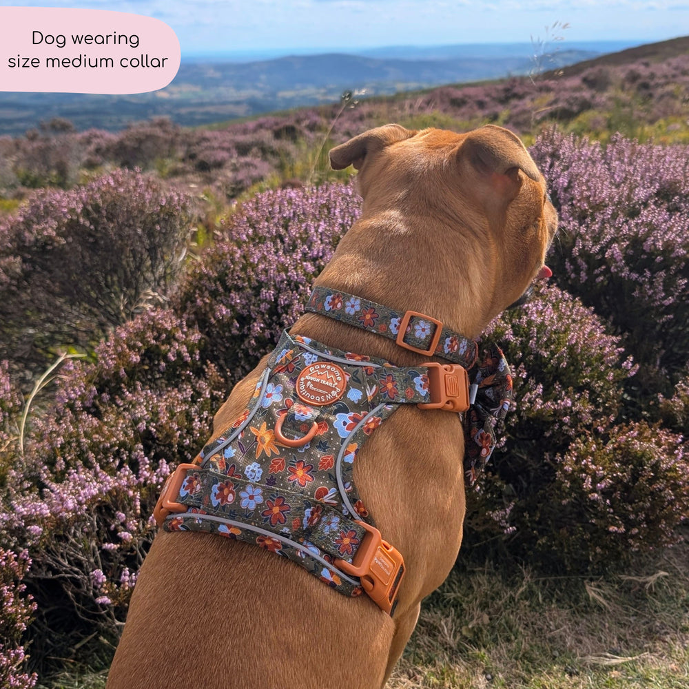 Collar - Rust & Bloom