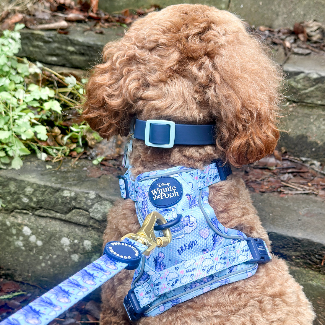 Disney© Waterproof Collar - Eeyore