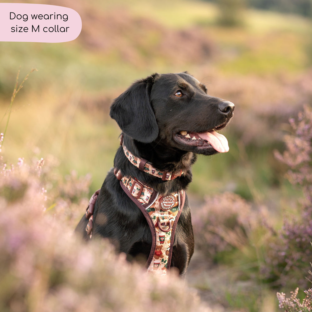 Collar - Snuggle Season