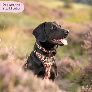 Collar - Snuggle Season