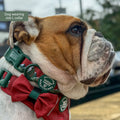 Collar – Walkies Ready® Snowy Mountains
