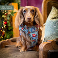 Paddington™ Tough Trails™ Harness - Christmas
