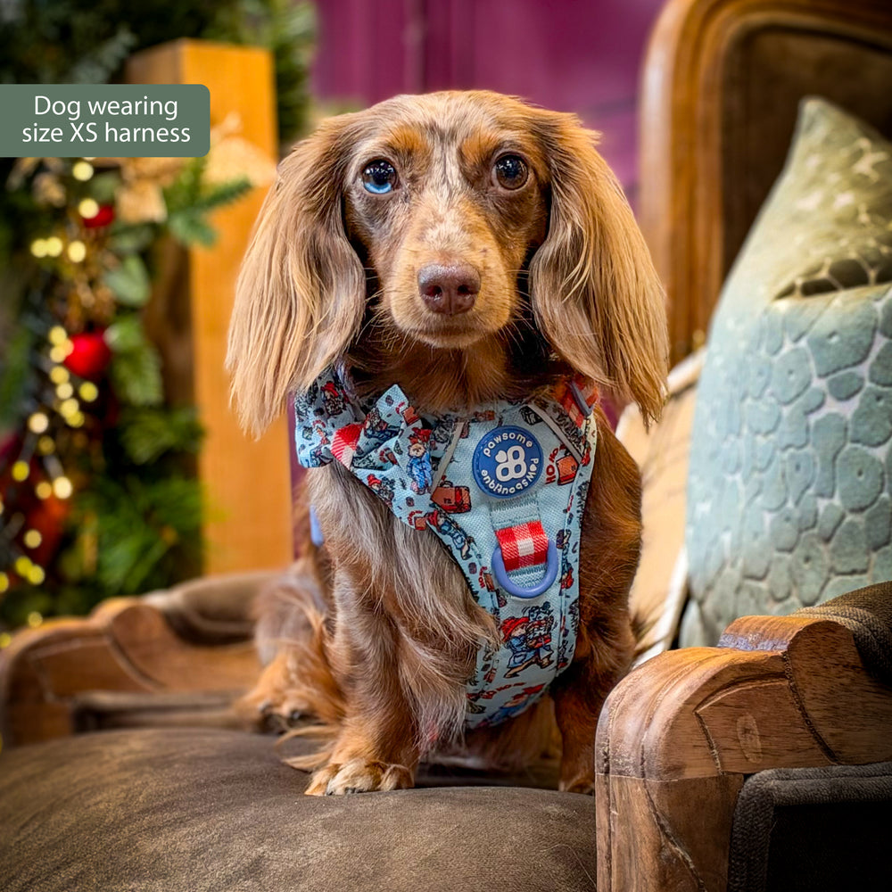Paddington™ Tough Trails™ Harness - Christmas