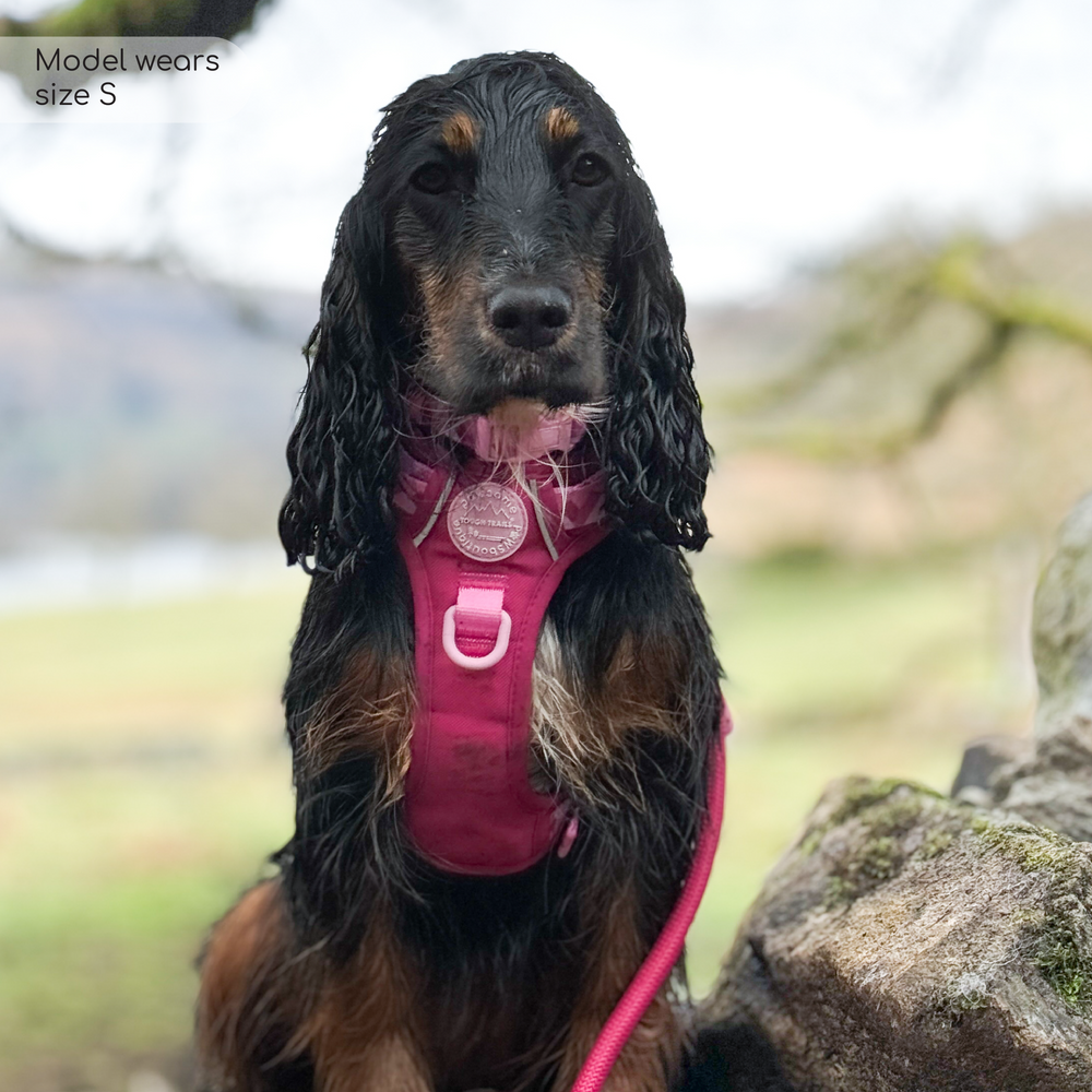 Tough Trails™ Harness - Walkies Ready® Raspberry Pink