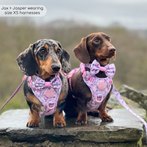 Disney© Bow Tie - Piglet