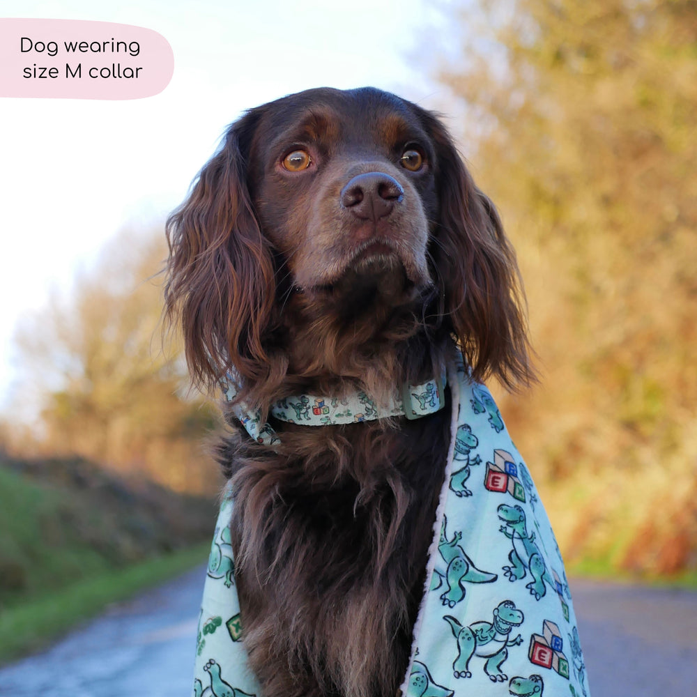 Disney© Collar - Rex