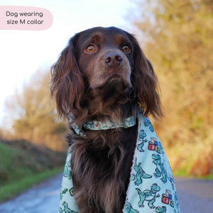 Disney© Collar - Rex