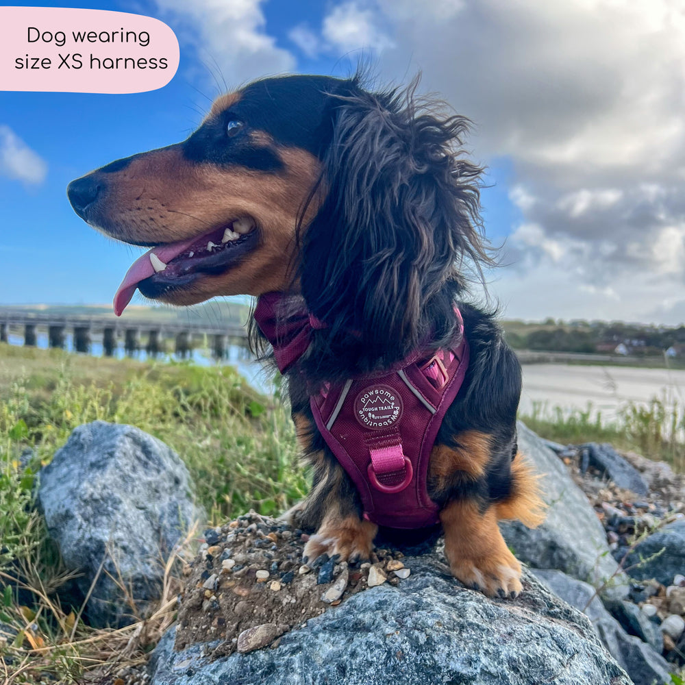 Tough Trails™ Harness - Walkies Ready® Mulberry