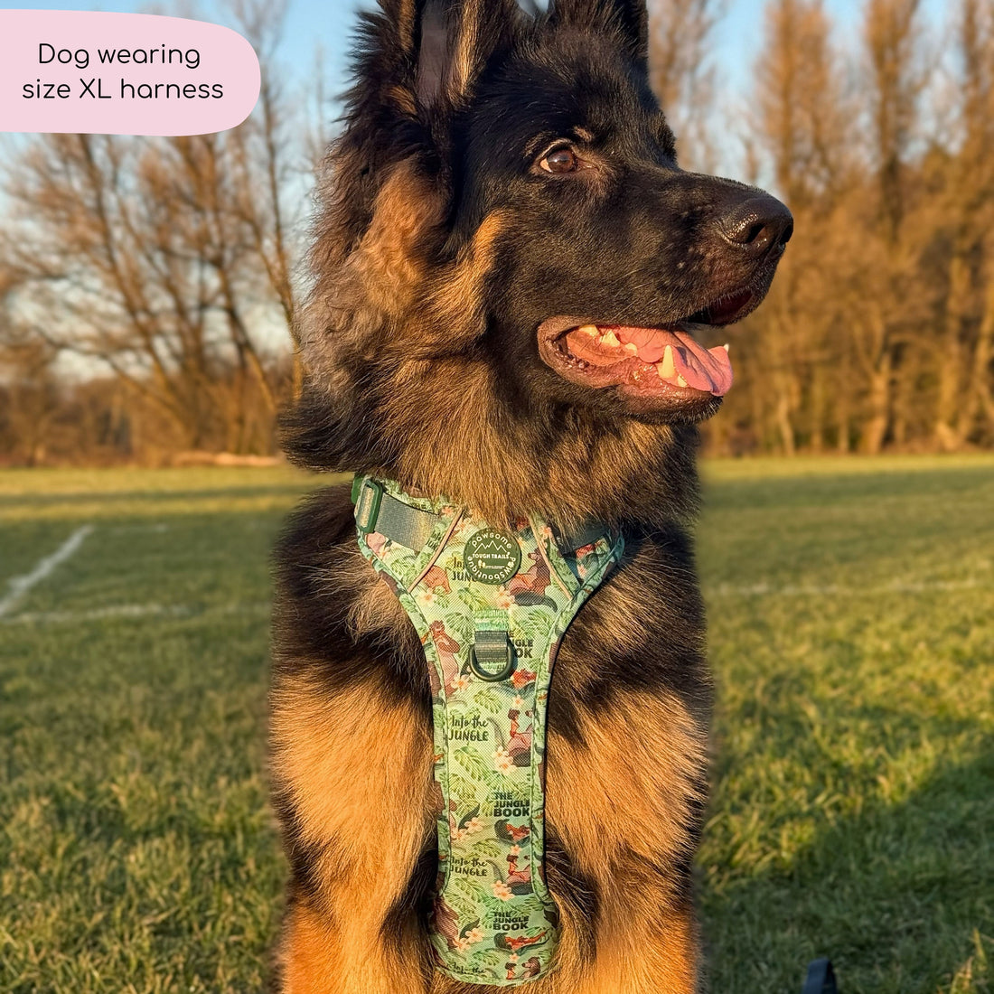 Disney© Tough Trails™ Harness - Jungle Book