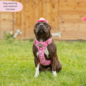 Tough Trails™ Harness -  Cowgirl