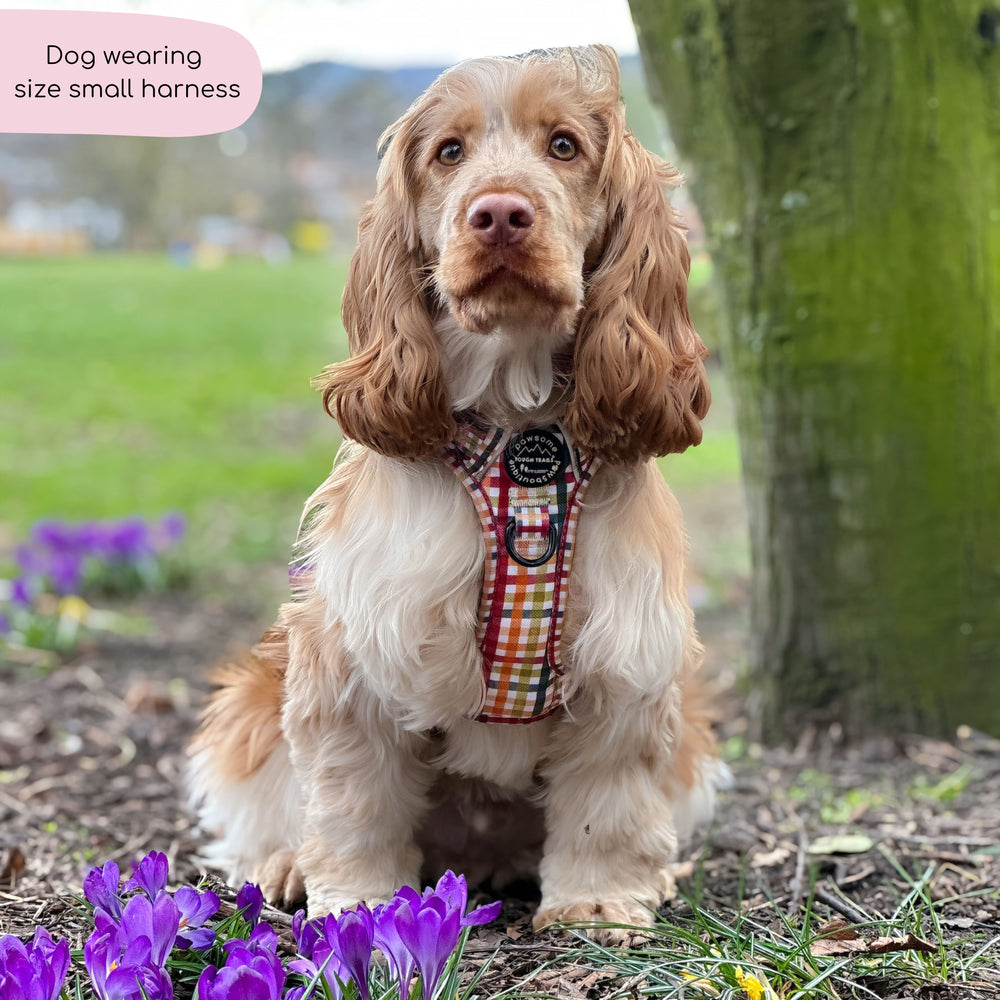 Tough Trails™ Harness - Plaid Pup