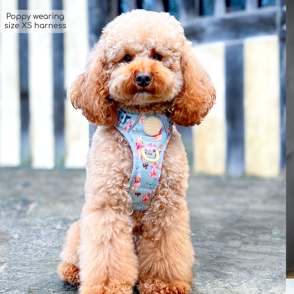 Disney© Tough Trails™ Harness - Winnie The Pooh