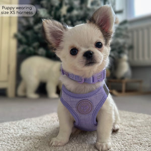 Pawsome Pup Harness - Lilac