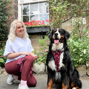Walkies Ready® Leggings - Mulberry