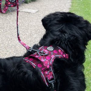Tough Trails™ Harness - Mable's Meadow