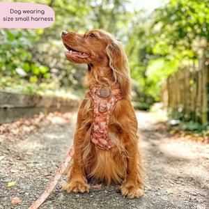 Tough Trails™ Harness - Cinnamon Spice